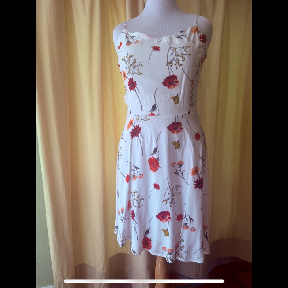 Floral Print Fit and Flare Dress
